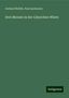 Gerhard Rohlfs: Drei Monate in der Libyschen Wüste, Buch