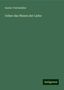 Gustav Teichmüller: Teichmüller, G: Ueber das Wesen der Liebe, Buch