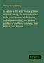 William Henry Rideing: A-saddle in the wild West: a glimpse of travel among the mountains, lava beds, sand deserts, adobe towns, Indian reservations, and ancient pueblos of southern Colorado, New Mexico, and Arizona, Buch