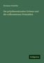 Hermann Scheffler: Die polydimensionalen Grössen und die vollkommenen Primzahlen, Buch