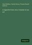 Henri Meilhac: Meilhac, H: Cigarette from Java. Comedy in one act, Buch