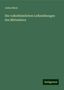Julius Bintz: Bintz, J: Die volksthümlichen Leibesübungen des Mittelalters, Buch