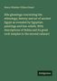 Henry Windsor Villiers Stuart: Nile gleanings concerning the ethnology; history and art of ancient Egypt as revealed by Egyptian paintings and bas-reliefs. With descriptions of Nubia and its great rock temples to the second cataract, Buch