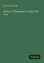 Andrew W. Young: History of Chautauqua County, New York, Buch