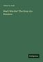 James H. Graff: Shall I Win Her? The Story of a Wanderer, Buch