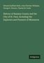 Titel: "History of Ramsey County and the City of St. Paul." Autoren: Edward Duffield Neill et al. Grüner Hintergrund.
