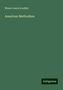 Moses Lewis Scudder: Scudder, M: American Methodism, Buch