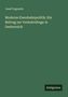 Josef Fogowitz: Moderne Eisenbahnpolitik: Ein Beitrag zur Verkehrsfrage in Oesterreich, Buch