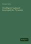 Hermann Lotze: Grundzüge der Logik und Encyclopädie der Philosophie, Buch