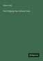 Albert Dulk: Der Irrgang des Lebens Jesu, Buch