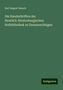 Karl August Barack: Barack, K: Handschriften der fürstlich-fürstenbergischen Hof, Buch