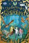 Ina Brandt: Zaubereulen in Federland (1). Das Geheimnis von Athenaria, Buch