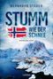 "STUMM WIE DER SCHNEE" und "NORWEGEN-KRIMI". Verschneite Hütten und Berge am Wasser, norwegische Flagge angedeutet., Buch