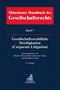 : Münchener Handbuch des Gesellschaftsrechts Bd 7: Gesellschaftsrechtliche Streitigkeiten (Corporate Litigation), Buch