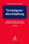 Wilhelm Schmidt: Vermögensabschöpfung, Buch