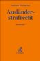 Andreas Mosbacher: Ausländerstrafrecht, Buch