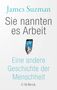 James Suzman: Sie nannten es Arbeit, Buch