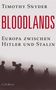 Timothy Snyder: Bloodlands, Buch