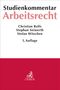 Christian Rolfs: Arbeitsrecht, Buch