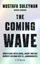 Mustafa Suleyman: The Coming Wave, Buch