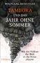 Buchtitel: "Tambora und das Jahr ohne Sommer". Darunter: "Wie ein Vulkan die Welt in die Krise stürzte". Hintergrund: Vulkanrauch., Buch