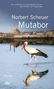 „Sein schönster und rätselhaftester Roman.“ Norbert Scheuer, Mutabor. Ein Storch läuft im Wasser vor einer Stadtansicht., Buch
