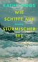 Kathy Biggs: Wie Schiffe auf stürmischer See, Buch