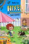 Aniela Ley: Hixel - Ein Koboldsommer ohne Socken, Buch