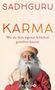 Sadhguru: Karma, Buch