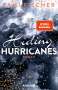Tami Fischer: Hiding Hurricanes, Buch