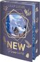 Buchtitel: "NEW Promises" von Lilly Lucas. Illustration eines verschneiten Hauses in den Bergen, umgeben von Tannen., Buch