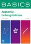 Fabian Rengier: BASICS Anatomie - Leitungsbahnen, Buch