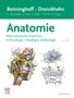 Benninghoff/Drenckhahn, Anatomie, Buch