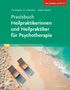 Titel: "Praxisbuch Heilpraktiker und Heilpraktikerin für Psychotherapie", Autoren: Christopher M. Ofenstein, Stefan Ritsche. Zweier Liegestühle am Strand., Buch