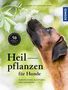 Alexandra Nadig: Heilpflanzen für Hunde, Buch