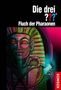 Robert Arthur: Die drei ??? Fluch der Pharaonen, Buch