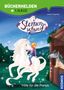 Linda Chapman: Sternenschweif, Bücherhelden 1. Klasse, Hilfe für die Ponys, Buch