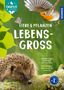 Titel: "Tiere & Pflanzen lebensgroß". Igel, Vogel, Schmetterling und Blätter im Hintergrund. Logo oben links., Buch