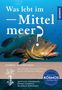 Titel: "Was lebt im Mittelmeer?" Ein großer Fisch schwimmt im blauen Wasser. Logos und Autoren am unteren Bildrand., Buch