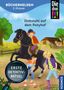 Anne Scheller: Die drei !!!, Bücherhelden 2. Klasse, Diebstahl auf dem Ponyhof, Buch