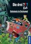"Die drei ??? Kids: Geheimnis im Dschungel" zeigt Kinder bei einem rot überwucherten Flugzeugwrack, umgeben von grünen Pflanzen., Buch
