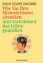 Giulio Cesare Giacobbe: Wie Sie Ihre Hirnwichserei abstellen und stattdessen das Leben genießen, Buch