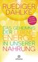 Ruediger Dahlke: Das Geheimnis der Lebensenergie in unserer Nahrung, Buch