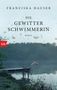 Franziska Hauser: Die Gewitterschwimmerin, Buch, Buch