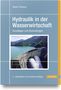 Robert Freimann: Hydraulik in der Wasserwirtschaft, Buch