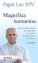 "Papst Leo XIV. Magnifica humanitas. Über die Bewahrung des Menschen im Zeitalter der Künstlichen Intelligenz. Enzyklika." Darunter ein Mann in päpstlicher Kleidung. , Buch