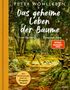 Peter Wohlleben: Das geheime Leben der Bäume, Buch