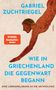 SPIEGEL Bestseller-Autor. "Wie in Griechenland die Gegenwart begann" von Gabriel Zuchtriegel. Illustration: Taucher., Buch