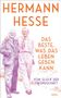 Titel: "HERMANN HESSE: DAS BESTE, WAS DAS LEBEN GEBEN KANN". Zwei Männer in Anzügen lachen., Buch