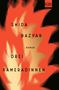 Shida Bazyar: Drei Kameradinnen, Buch, Buch